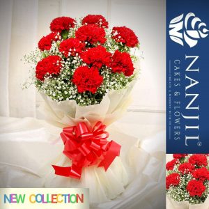 premium carnation bunch-nanjil cakes