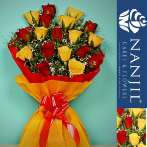 twinning stars-nanjil cakes